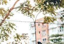 125 Cc Elektrikli Motor ile Sıfır Emisyonlu Sürüş Keyfi Nasıl?