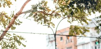 125 Cc Elektrikli Motor ile Sıfır Emisyonlu Sürüş Keyfi Nasıl?