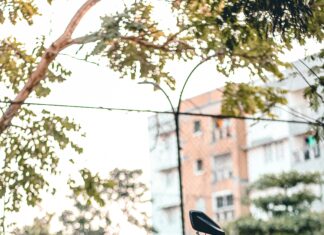 125 Cc Elektrikli Motor ile Sıfır Emisyonlu Sürüş Keyfi Nasıl?