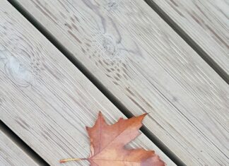 Elektrikli Araba Motoru Fiyatları: Hangi Seçenekler Daha Uygun?