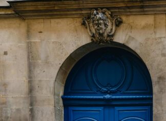 Zealsun Elektrikli Motor ile Gücünüzü Hissedin ve Keşfedin