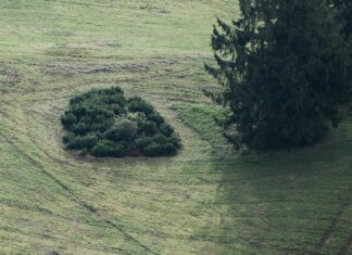 Bisiklet Elektrikli Motor Kiti ile Yeni Bir Sürüş Deneyimi Mi?