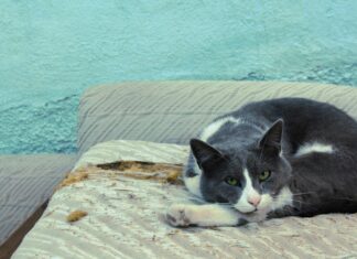 Elektrik Motorunun Çalışma Prensibi Nedir? Merak Edin!