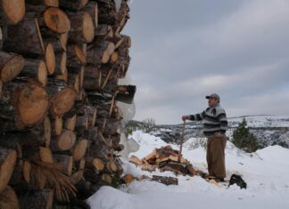 Elektrikli Odun Motoru ile Ağaç Kesiminde Devrim Yaratın!