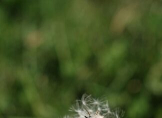 Su Motorları Elektrikli ile Verimliliği Artırmanın Yolları