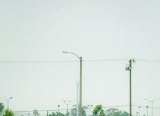 Elektrikli Motor Ehliyet Gereklimi? İşte Bilmeniz Gerekenler!