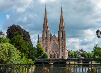 Basit Elektrik Motoru ile Enerji Verimliliğinizi Artırın!