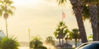 Citycoco Elektrikli Motor İle Şehirdeki Yeni Ulaşım Deneyimi