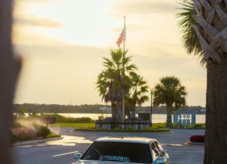 Elektrikli Motor Testere Seçerken Dikkat Edilmesi Gerekenler