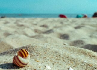 Elektrikli Motora Ehliyet Gerekir Mi? Gerçekler ve Bilinmesi Gerekenler