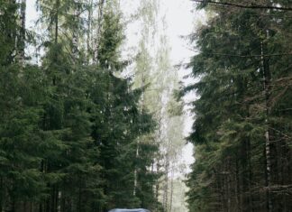 Elektrikli ATV Motoru ile Macera Dolu Bir Deneyim Yaşayın