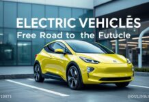 Elektrikli Araçlar: Gelecek Nın Yolu Electric Vehicles: The Road to the Future